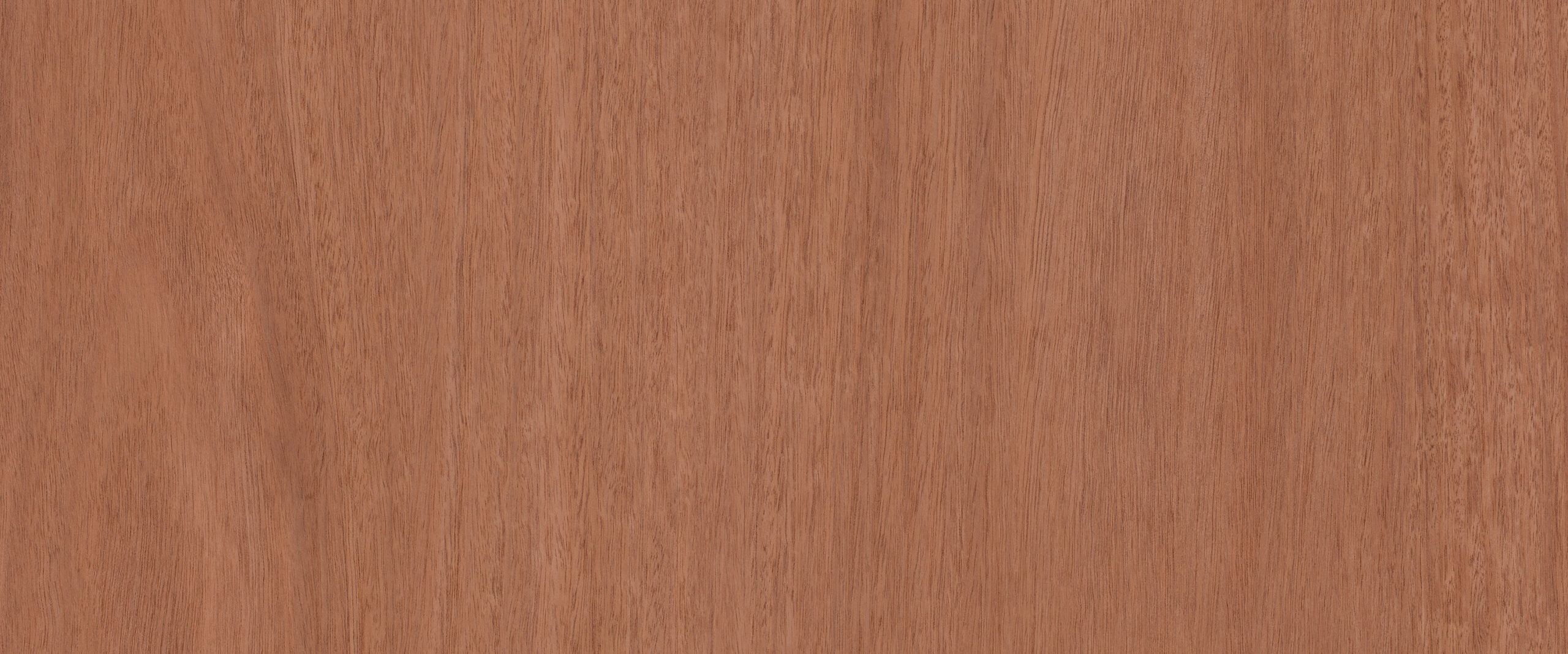 Jprod-GBIP-017681-Laminex-main-3000x1250-1 3600x1800 25MM LIGHT JARRAH TRUESCALE NATURAL MR VERTIBOARD E0 - Image 1
