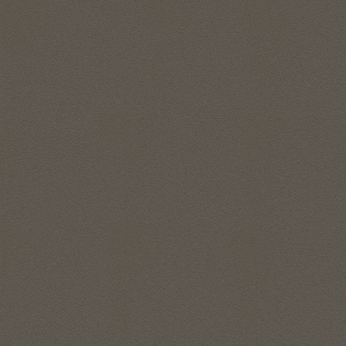 prod-GBIP-002250-Laminex-main-1200x1200-1 29MMx2MM UNGLUED FOSSIL SATIN ABS - Image 1