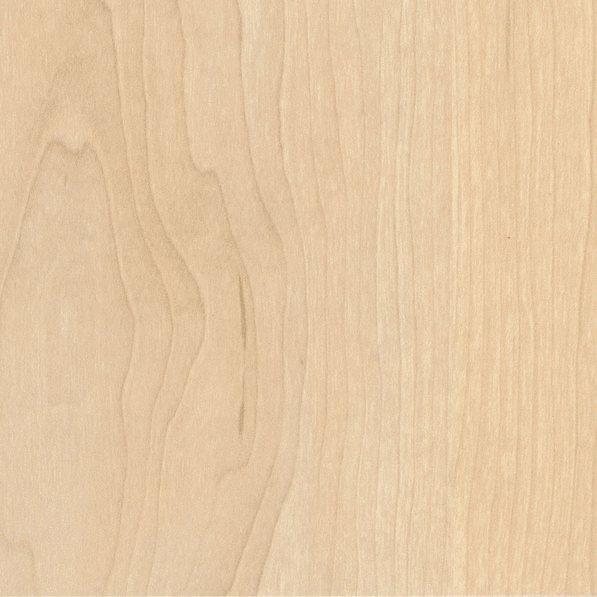 prod-GBIP-005919-Laminex-main-1200x1200-1 2400x1200 16MM ROCK MAPLE NATURAL LAMIWOOD E0 - Image 1
