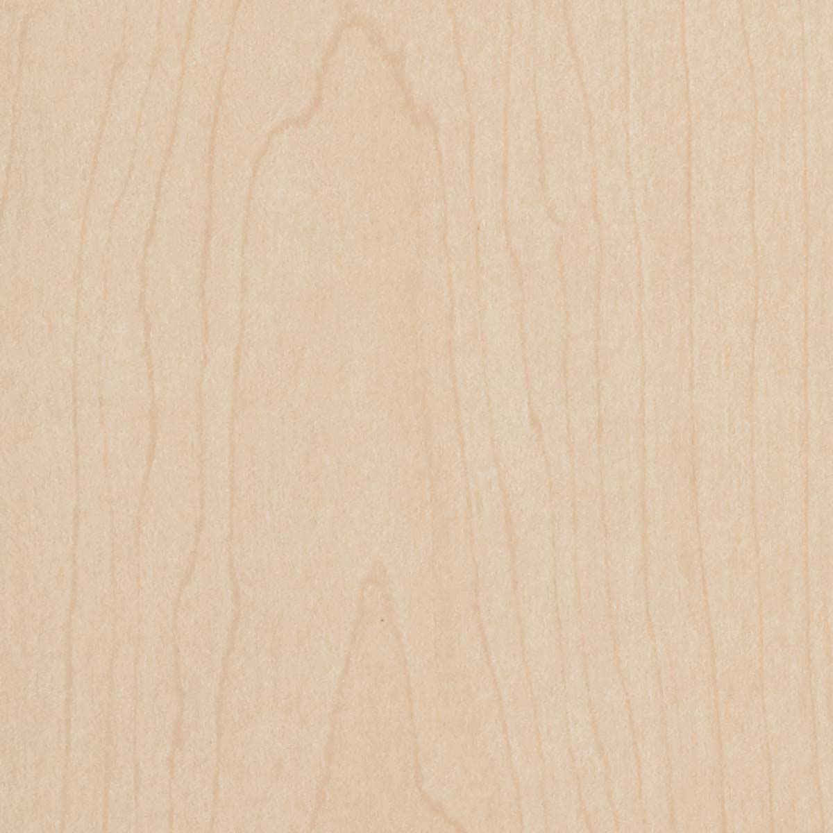 prod-GBIP-005922-Laminex-main-1200x1200-1 2400x1200 16MM DANSK MAPLE NATURAL LAMIWOOD E0 - Image 1