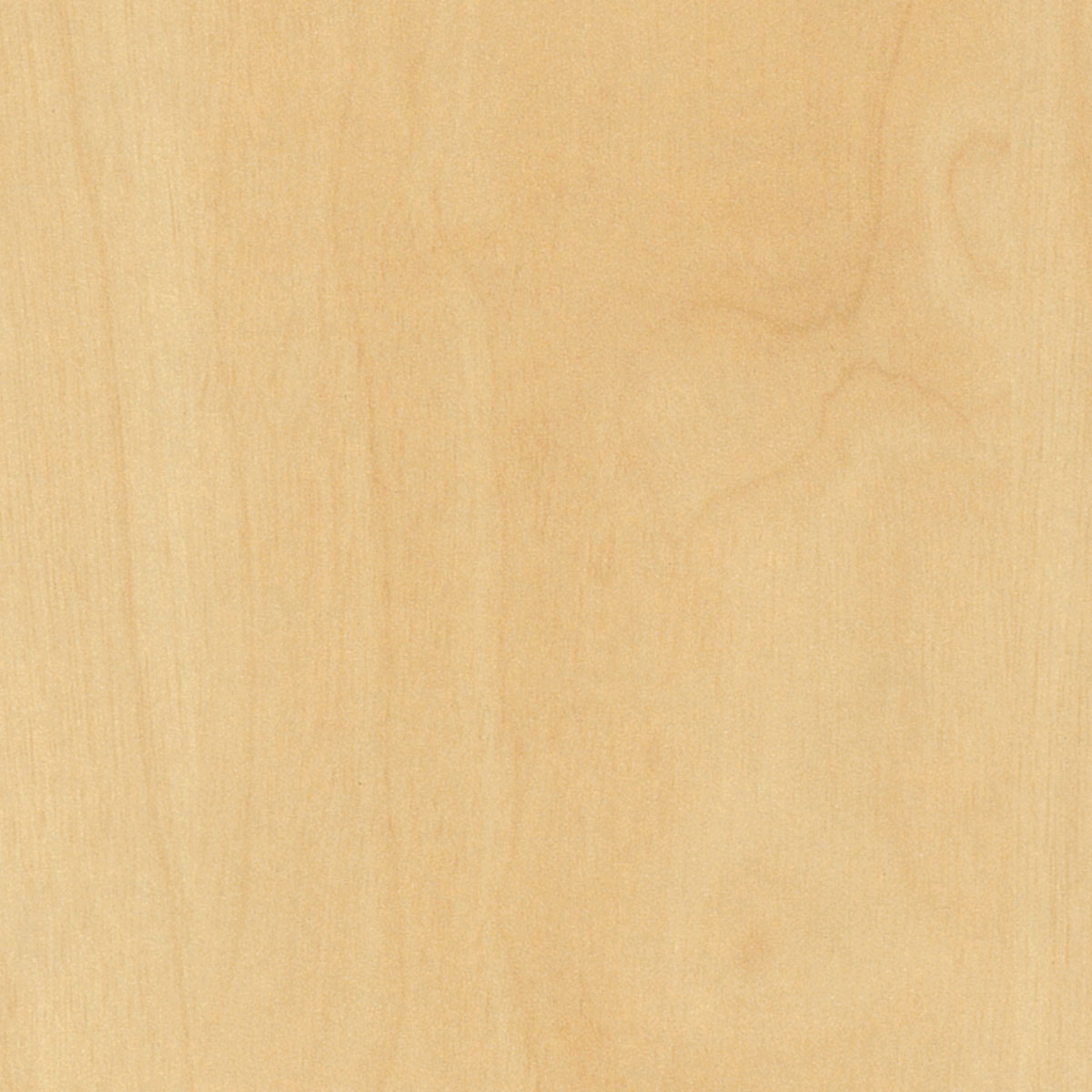 prod-GBIP-006096-Laminex-main-1200x1200-1 3600x1800 18MM CURLY BIRCH FLINT MR VERTIBOARD E0 - Image 1