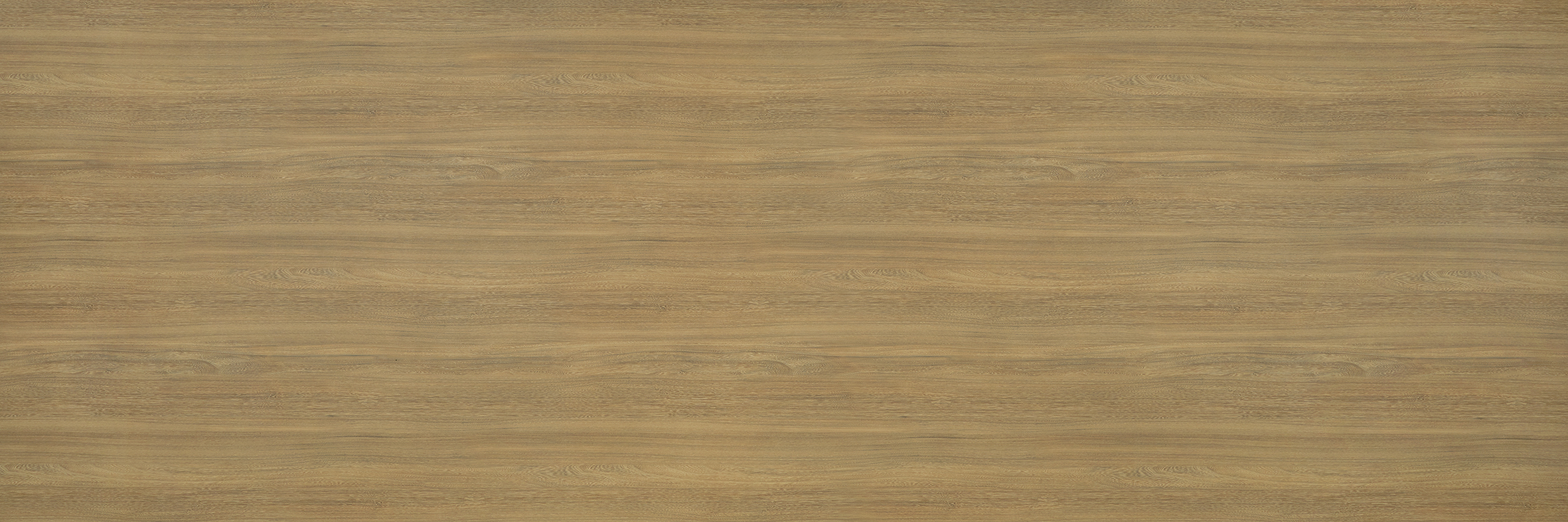 prod-GBIP-011224-Laminex-main-3600x1200-1 22MMx2MM UNGLUED HONEY ELM NATURAL ABS (D) GBI STOCK ONLY - Image 1