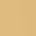 21MMx1MM UNGLUED PALE HONEY STIPPLE ABS