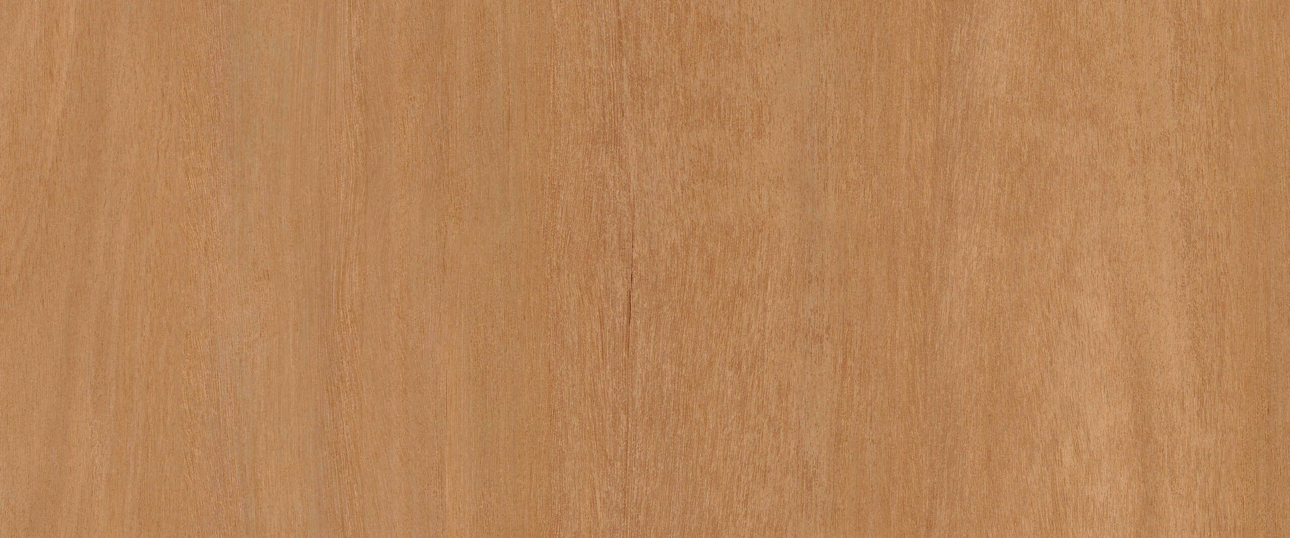 prod-GBIP-017680-Laminex-main-3000x1250-1 3600x1800 25MM BLACKBUTT TRUESCALE NATURAL MR VERTIBOARD E0 - Image 1