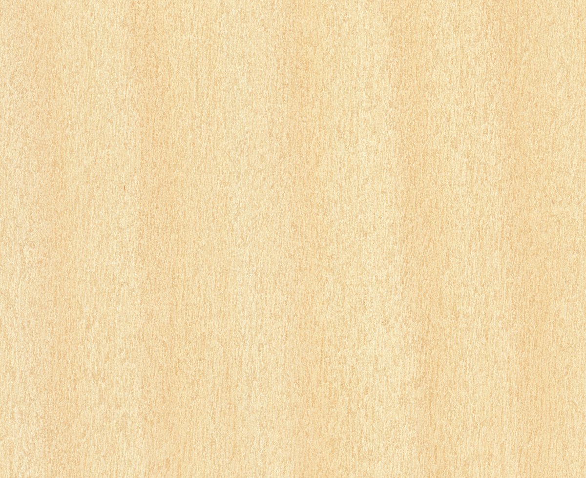 prod-GBIP-017705-Laminex-main-1200x1200-1 22MMx2MM UNGLUED ROTARY HOOP PINE TRUESCALE STIPPLE ABS - Image 1