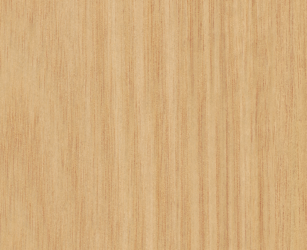 prod-GBIP-017707-Laminex-main-1200x1200-1 22MMx2MM UNGLUED TASMANIAN OAK TRUESCALE STIPPLE ABS - Image 1