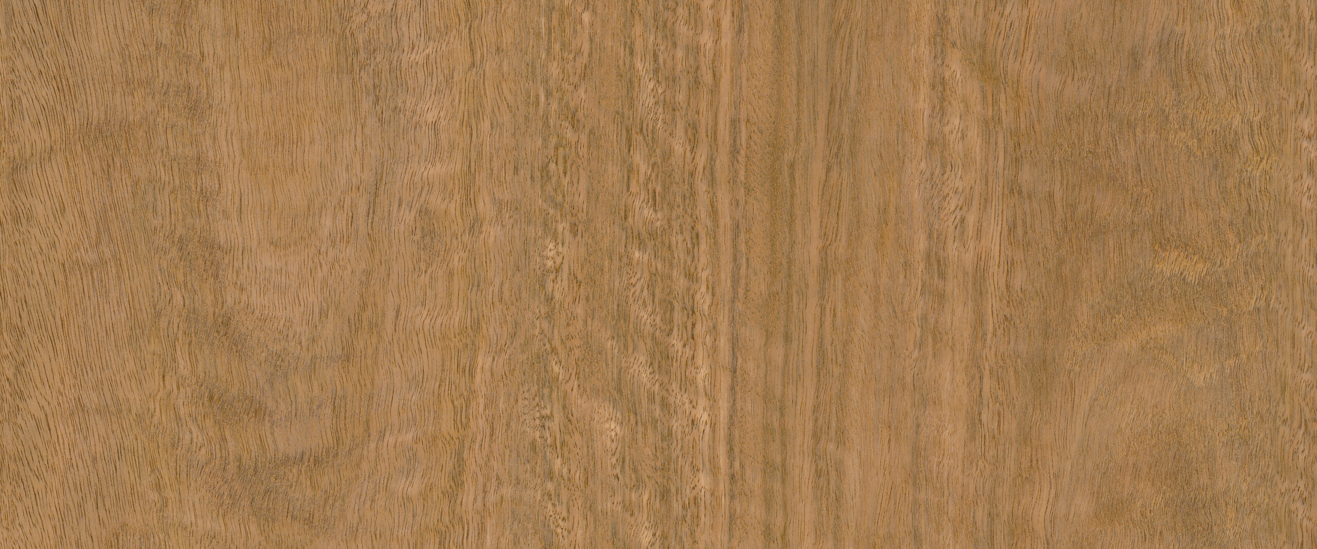 prod-GBIP-017902-Laminex-main-3000x1250-1 2400x1200 25MM SPOTTED GUM TRUESCALE ABSOLUTE GRAIN LAMIWOOD E0 - Image 1