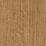 3600x1800 25MM SPOTTED GUM TRUESCALE ABSOLUTE GRAIN MR VERTIBOARD E0