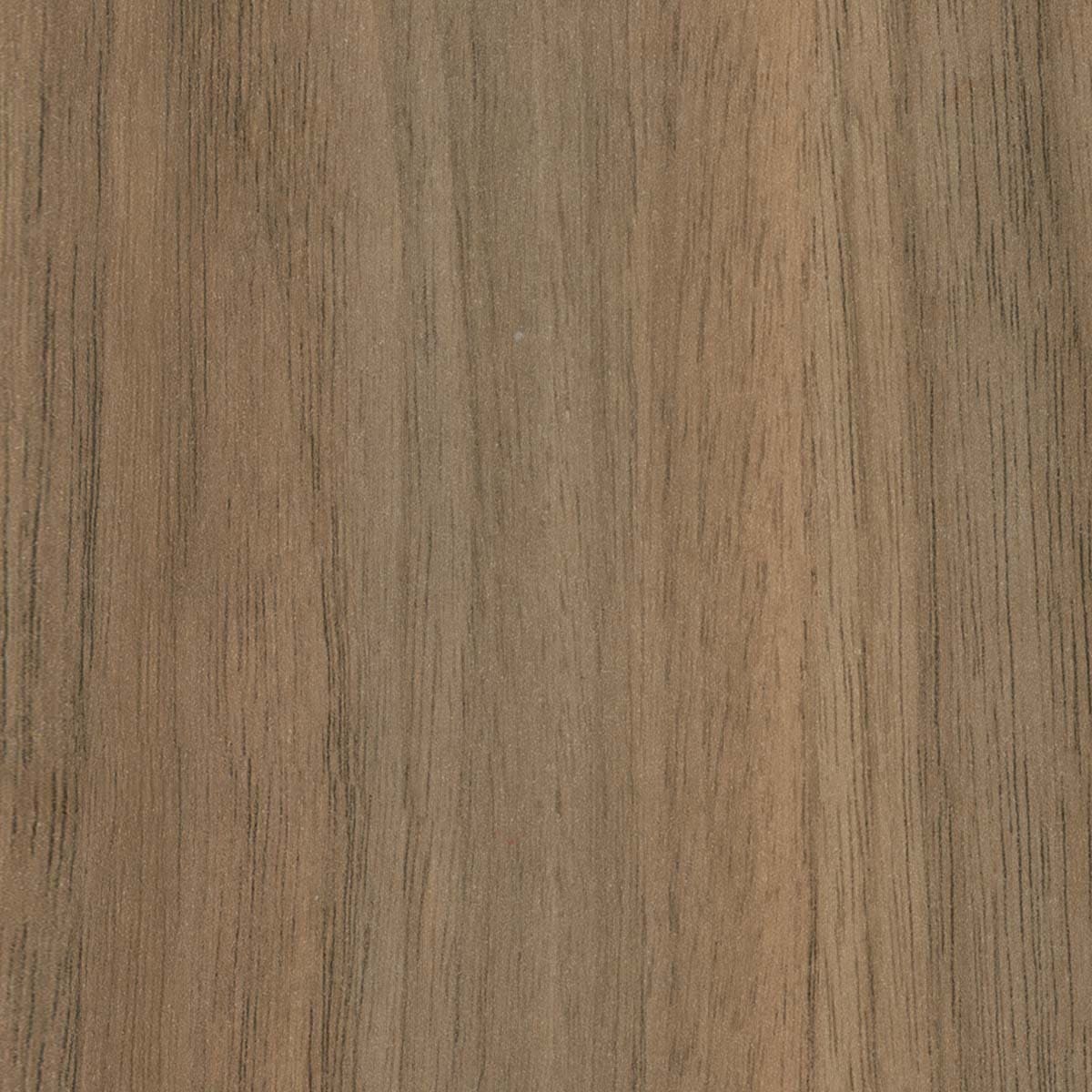 prod-GBIP-017964-Laminex-main-1200x1200-1 22MMx2MM UNGLUED NATURAL WALNUT ABSOLUTE GRAIN ABS - Image 1