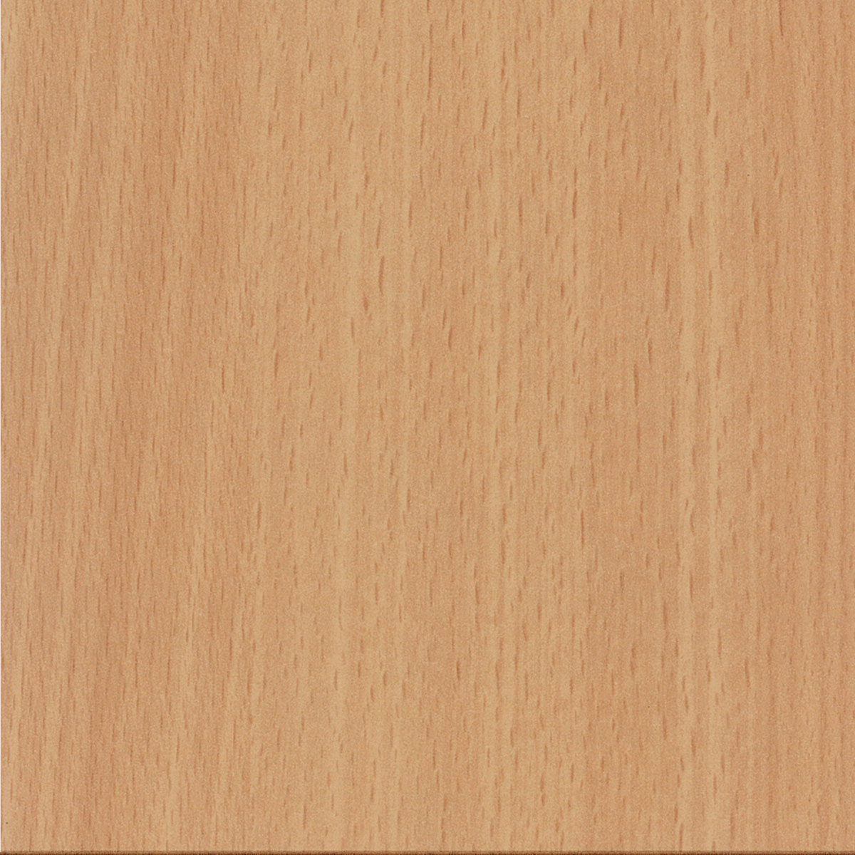 prod-GBIP-018038-Laminex-main-1200x1200-1 29MMx1MM UNGLUED SELECT BEECH SATIN ABS - Image 1